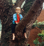 Boy high up in a tree.