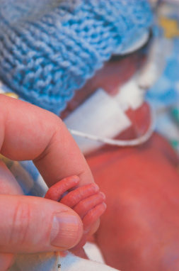 Very premature baby holding hand in NICU.